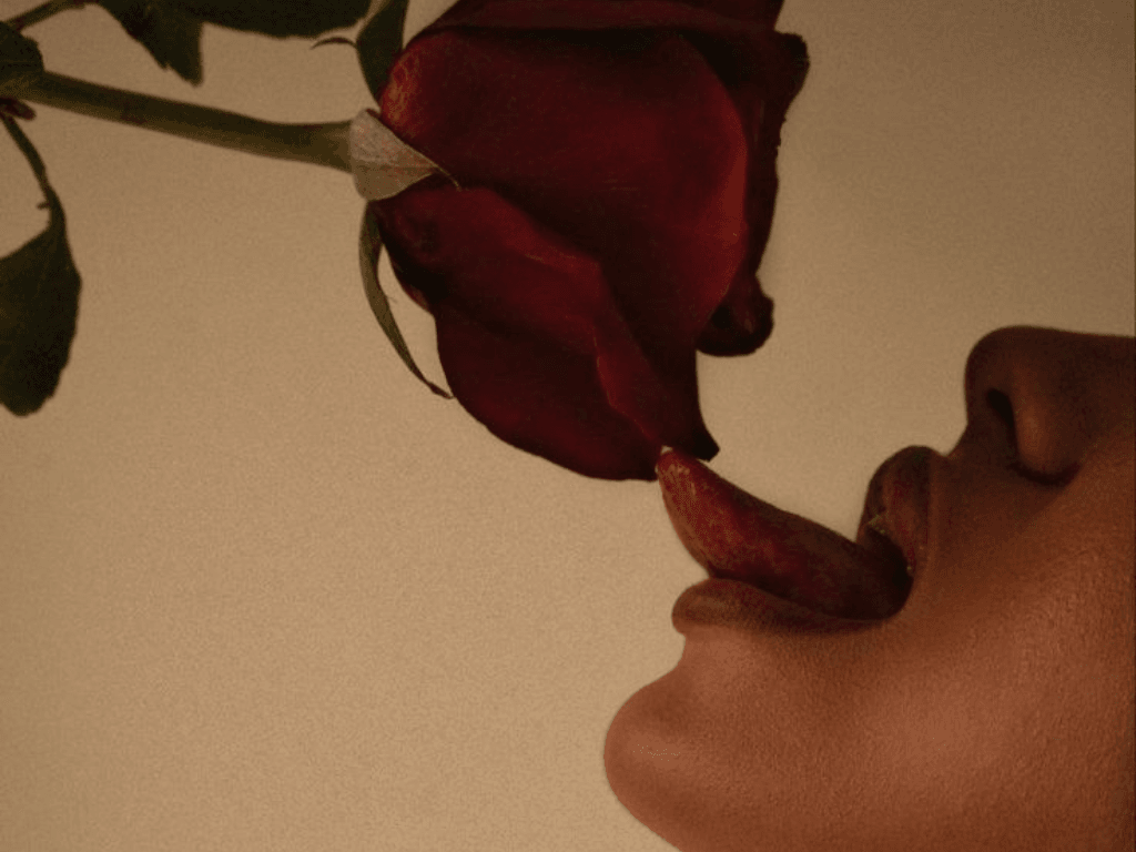Como fazer um bom sexo oral na mulher